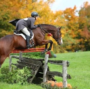 Meet your Posher, Chloe